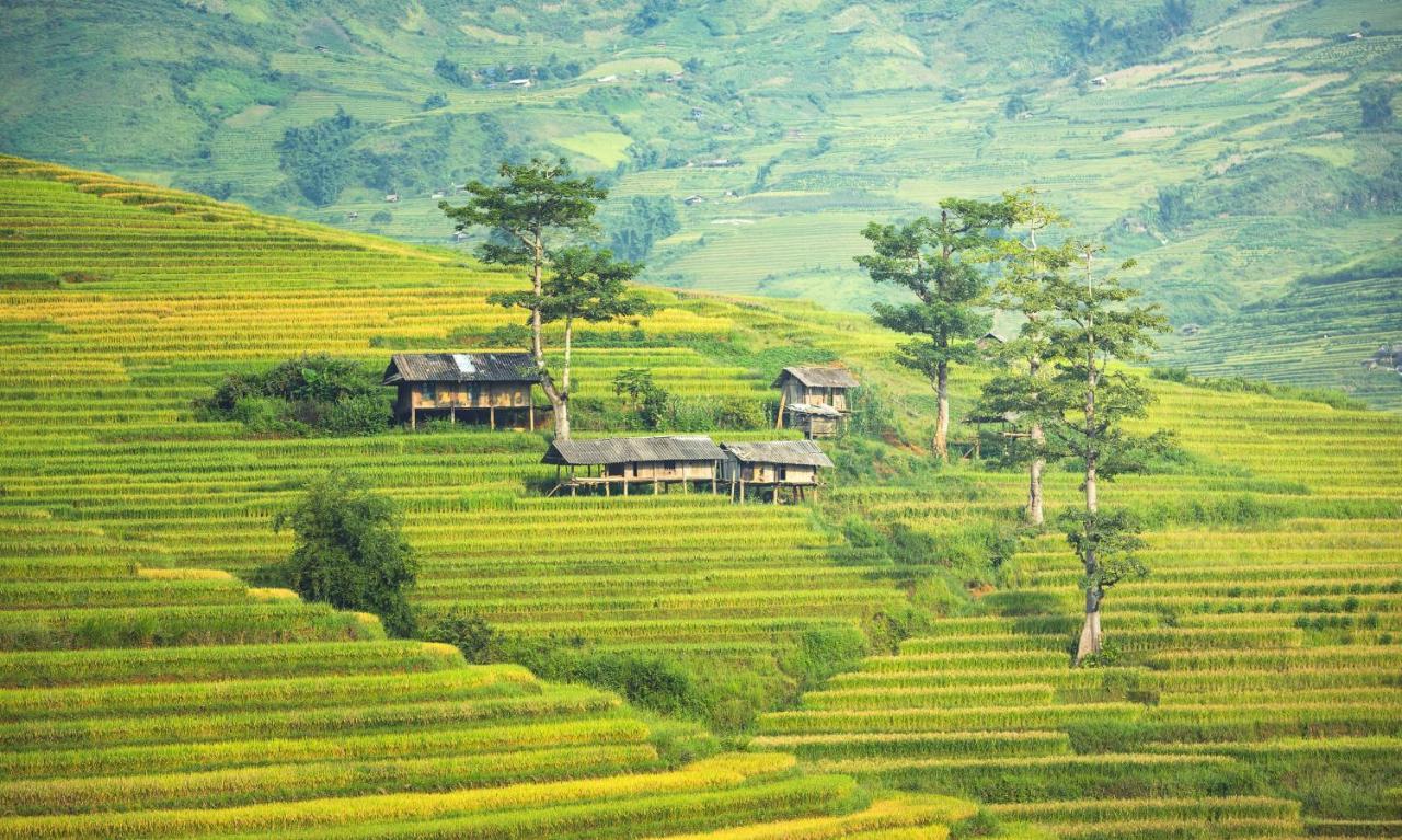 Easystay - 154 đinh Thôn, Mỹ đình, Hà Nội * Hanoï